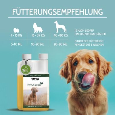 Thumbnail 10: TJURE TJURE - Immun Boost - 500 ml | Extraportion Wohlbefinden | Kräftigung der Immunabwehr |