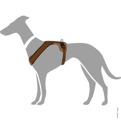 Thumbnail 3: HUNTER Geschirr Neopren M/2, braun/karamell