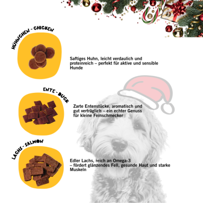 Thumbnail 2: Dogs'n Tiger Adventskalender 2024, Weihnachtsgeschenk, Hund Snacks, Gefriergetrocknete Snacks, Enten, Huhn & Lachs, Weihnachtskalender