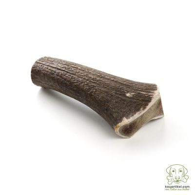Thumbnail 1: kauartikel.com Hirschgeweih - Hunde-Kauartikel - Hunde-Snack - Hypoallergen-Kausnack - Wild-Leckerli