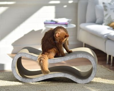 Thumbnail 4: cat-on SINGHA L Design Katzenmöbel, grau (001)