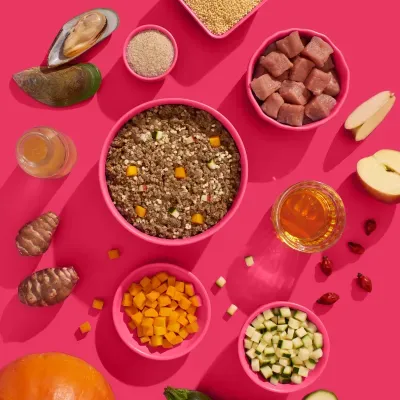 Thumbnail 2: FRED & FELIA FRED Hundenassfutter SENIOR Schwein 10x 390g