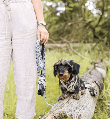 Thumbnail 2: Fluffy Dog Hundegeschirr „Coffee“ – bequemes Alltagsgeschirr aus veganem Neopren mit D-Ring & Mesh-Polsterung