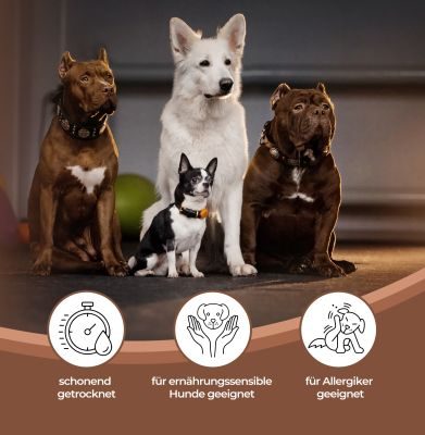 Thumbnail 6: mascota vital Pferdelunge, getrockneter Kauartikel für Hunde, 200 g