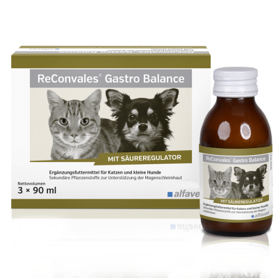 Thumbnail 1: alfavet ReConvales Gastro Balance für Hund und Katze, zur Pflege der Magenschleimhaut mit Säureregulator 3 x 90 ml