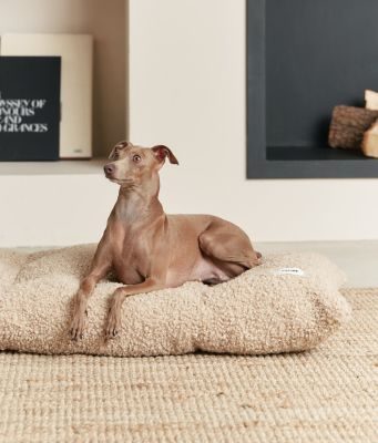 Thumbnail 3: CAFIDE Teddyfell-Hundebettkissen, Bela