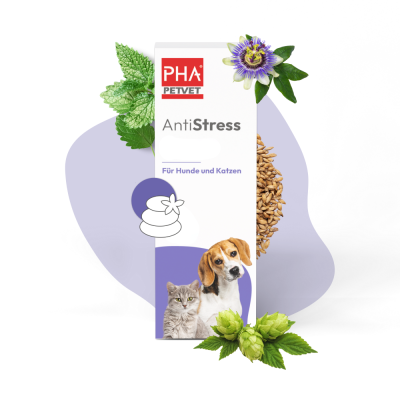 Thumbnail 1: PHA PetVet - PHA AntiStress für Hunde u. Katzen 30 ml - Flüssiges Ergänzungsfuttermittel zur natürlichen Unterstützung bei Stressreaktionen.