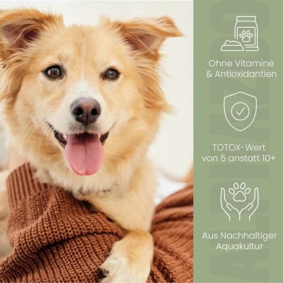 Thumbnail 2: ALPHAZOO Lachsöl für Hunde