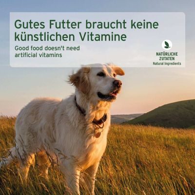 Thumbnail 11: AniForte Nassfutter LandChicken – "Huhn mit Möhren" 6 x 800 g