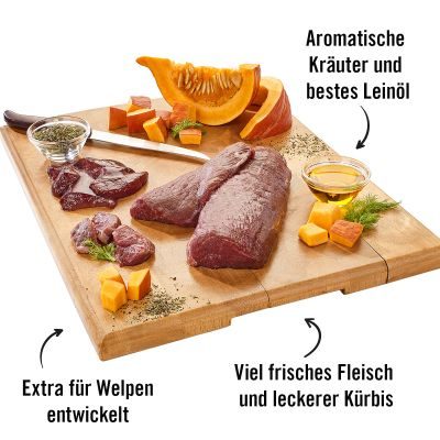 Thumbnail 4: Dogs'n Tiger Junior, Hundefutter, Lammfromm, Hunde Nassfutter, Welpen Futter, Monoproteine, Lamm & Kürbis, 6x 400g