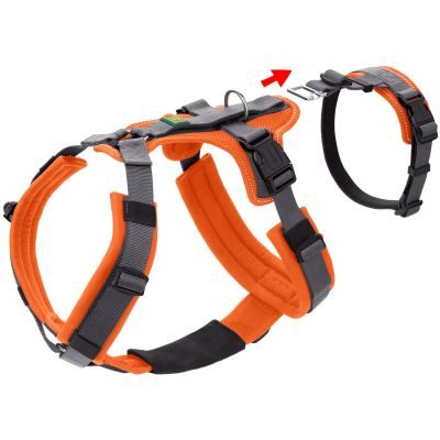 Thumbnail 7: HUNTER Sicherheitsgeschirr Maldon mit Griff M, orange/grau