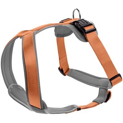 HUNTER Geschirr Neopren L, kupfer/grau
