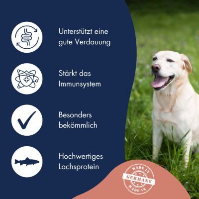 Thumbnail 3: Dr.Clauder’s Hyposensitive Lachs & Kartoffel 11,5kg