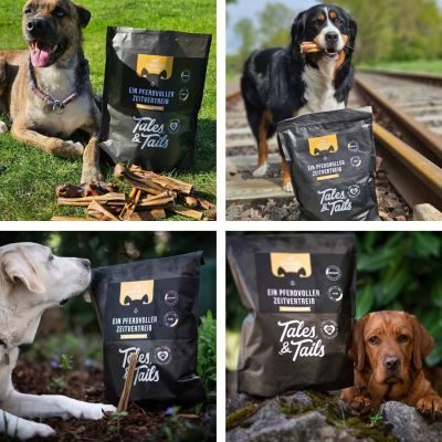 Thumbnail 8: Tales & Tails Ein PferdVoller Zeitvertreib 5er Paket