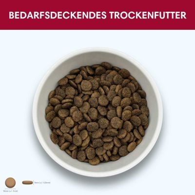 Thumbnail 2: Sollis Hundetrockenfutter mit Angus-Rind 2 kg