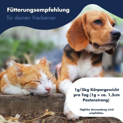 Thumbnail 6: Dr.Clauder´s Plaque Ex Paste 100g