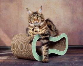 cat-on SINGHA M Design Katzenmöbel, Hemlock mintgrün