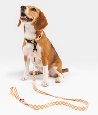 CAFIDE Recyceltes PET-Halsband, Juno