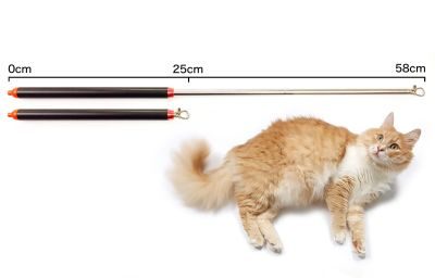 Thumbnail 2: SCHLITZOHR Katzenangel Arnold