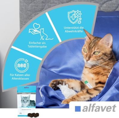 Thumbnail 4: alfavet FeliGum L-Lysin 120 g