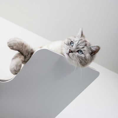 Thumbnail 3: stylecats® Kratzbaum Mounty Large mit Doppel- & Zwischenboden weiß Doppel / links unten Sisal hellgrau Cozy hellgrau, 170 cm