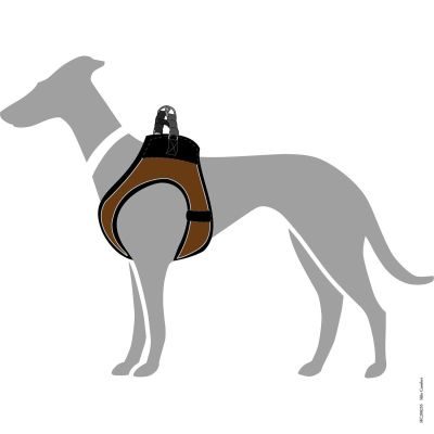 Thumbnail 8: HUNTER Geschirr Hilo Comfort XS, braun