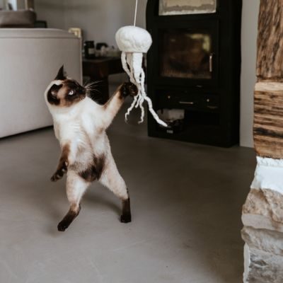 Thumbnail 2: stylecats® Katzenspielzeug Kwalle Karl mit Schnur weiss 10 cm