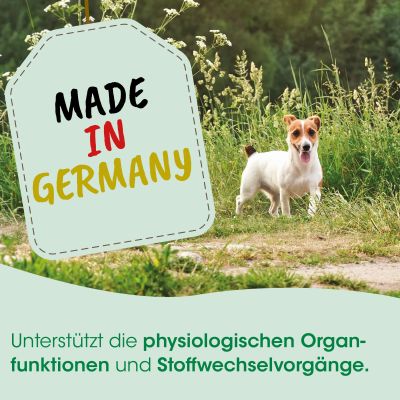 Thumbnail 5: cdVet MicroMineral Hund & Katze 500 g – Natürliche Mineralstoffversorgung für gesunde Vitalität