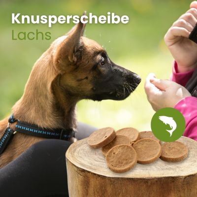 Thumbnail 3: kauartikel.com Lachs-Knusperscheibe - Hunde-Kauartikel - Hunde-Snack - Kausnack - Fisch-Leckerli