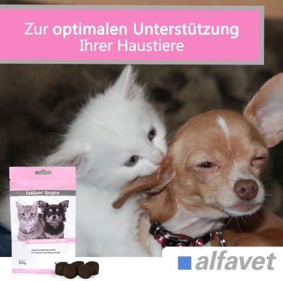 Thumbnail 3: alfavet FeliGum Gingiva 120 g