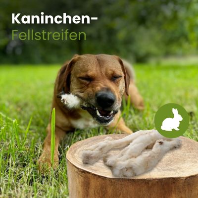 Thumbnail 2: kauartikel.com Kaninchen-Fellstreifen - Hunde-Kauartikel - Hunde-Snack - Hypoallergen-Kausnack - Hasen-Leckerli
