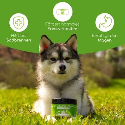 Thumbnail 2: Wolfsbacher Natur Kot & Grasfrei Snacks für Hunde