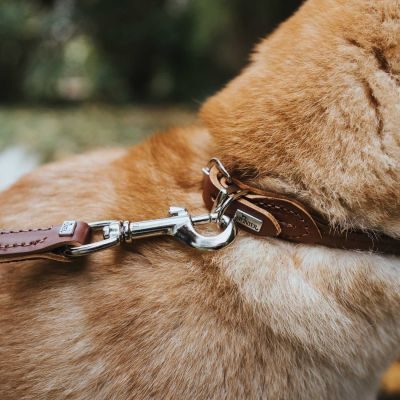 Thumbnail 3: HUNTER Halsband Round & Soft S (40), braun