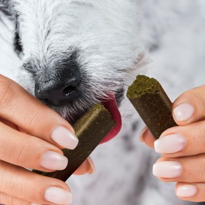 Thumbnail 4: Tierliebhaber Zahnfee Sticks für Hunde - Kausticks für eine natürliche Zahnpflege & frischen Atem