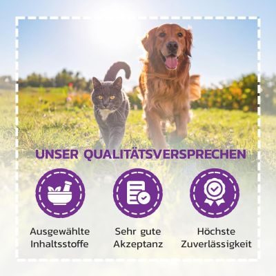 Thumbnail 3: LiquidoCare Ergänzungsfuttermittel mit Goldrute und Selen zur Unterstützung der Nierenfunktion für Katzen und Hunde 180 ml