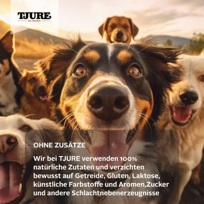 Thumbnail 1: TJURE TJURE Hund - Kalb mit Beeren 220 ml Flasche 12er Pack