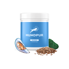 Hundpur Gelenke mit Perlenkomplex 300 g – Omega‑3‑Pellets mit Grünlippmuschel, Glucosamin & MSM für natürliche Bewegungsfreude