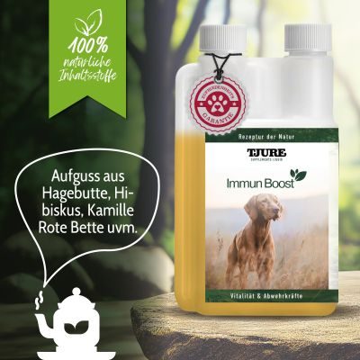 Thumbnail 5: TJURE TJURE - Immun Boost - 500 ml | Extraportion Wohlbefinden | Kräftigung der Immunabwehr |