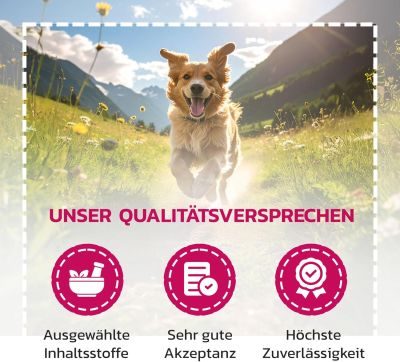 Thumbnail 2: LiquidoCare Appetitanreger für den Hund - hochkalorisches Tonikum mit Vitaminen & Mineralstoffen – für schlecht fressende, untergewichtige Hunde 180 ml
