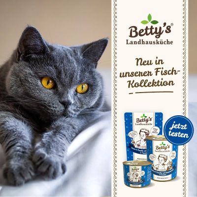 Thumbnail 4: Betty's Landhausküche Katzennassfutter Huhn & Forelle mit Borretschöl 12x 200g