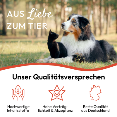 Thumbnail 2: PHA PetVet - PHA UmgebungsSpray für Hunde u. Katzen 150 ml - Parasitenschutz - mit pflanzlichen Wirkstoffen