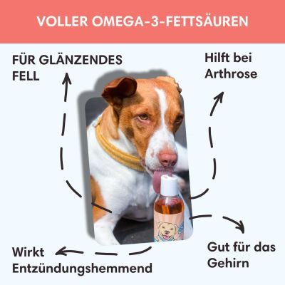 Thumbnail 2: Sollis Lachsöl