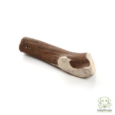 Thumbnail 4: kauartikel.com Hirschgeweih - Hunde-Kauartikel - Hunde-Snack - Hypoallergen-Kausnack - Wild-Leckerli