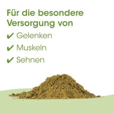 Thumbnail 5: cdVet ArthroGreen Classic 25 g - Natürliches Ergänzungsfuttermittel für Katzen und Hunde