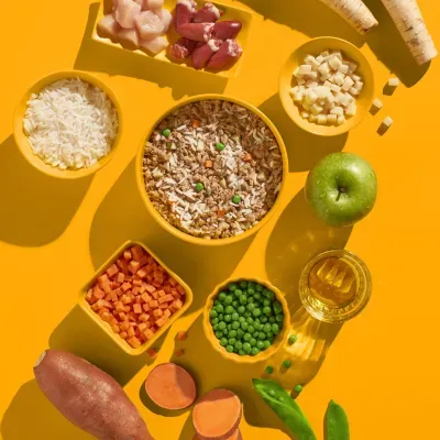 Thumbnail 2: FRED & FELIA FRED Welpen Nassfutter JUNIOR Huhn mit Reis 10x 390g