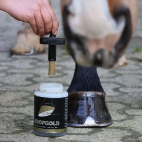Hoofgold Huföl für Pferde mit Pinsel - zur täglichen Hufpflege bei sprödem und brüchigem Horn - 2500 ml