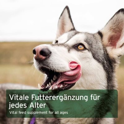 Thumbnail 2: AniForte BARF-Line Früchte & Gemüse mit Kräutern