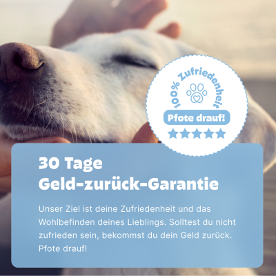 Thumbnail 4: Pezz Hunde Hauttest | Zuhause auf Hautmilben, Hefepilze und Bakterien testen