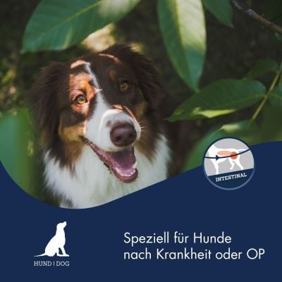 Thumbnail 1: Dr.Clauder’s Special Diet Intestinal 400g