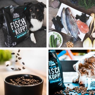 Thumbnail 5: Tales & Tails Noch ganz Fisch im Kopp Softtrockenfutter - 12 kg (3x4 kg)